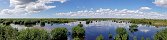 Le refuge faunique national de Ten Thousand Islands (Naples, Floride, Etats-Unis)