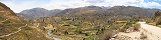 Champs en terrasses depuis la route du canyon de Colca (Prou)