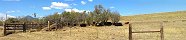 Eolienne et parc à bétail près de La Veta (Colorado, Etats-Unis)