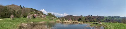 Click here to download wp_arboretum01.zip