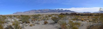 Click here to download wp_desertnationalwildliferefuge02.zip
